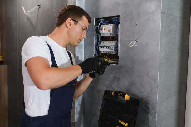 Best Electrical Upgrades for Homes  in Darien, GA